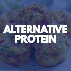 Alternative Protein