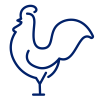 Poultry